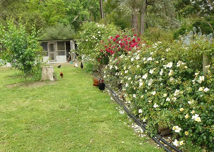 Camawald Coonawarra Cottage B&B